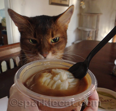Who DOESN'T love chicken gravy?