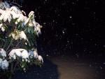 snowing
