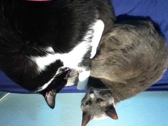 The Grey One and the Little One