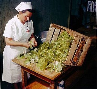 Veggie