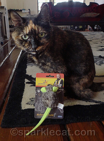 I was nice and let Binga pose with this prize