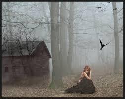  photo dove_zpsb34d427d.jpg