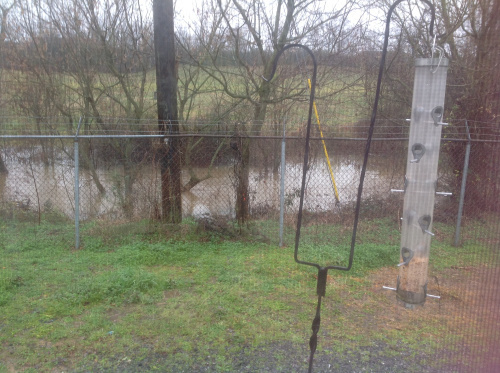 Creek behind my office
