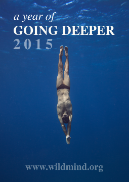 yogd2015