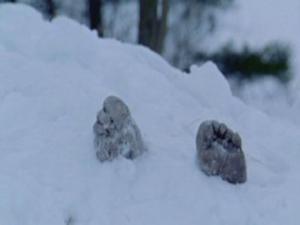 moscow dead body snow-78787