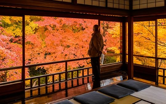 desktop background image of gorgeous fall colors at the Rurikoin Temple (瑠璃光院), Kyoto Japan -- A Moment of Quiet Introspection at the Rurikoin Temple (瑠璃光院), Kyoto Japan -- Rurikoin Temple (瑠璃光院) -- Copyright 2014 Jeffrey Friedl, http://regex.info/blog/ -- This photo is licensed to the public under the Creative Commons Attribution-NonCommercial 4.0 International License http://creativecommons.org/licenses/by-nc/4.0/ (non-commercial use is freely allowed if proper attribution is given, including a link back to this page on http://regex.info/ when used online)