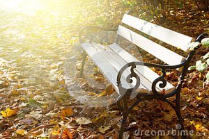 empty-bench-autumn-park-white-sunny-42232130