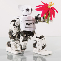 detail-robots-darwin-mini