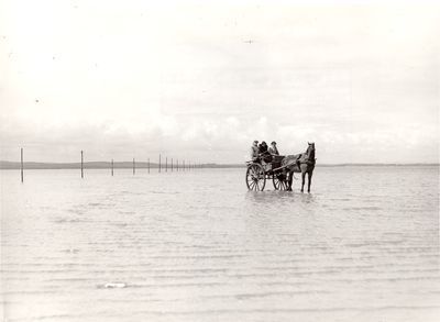 Holy Island