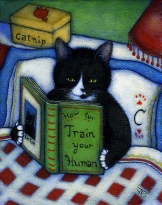 how_to_train_your_human