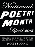 npm2013_logo