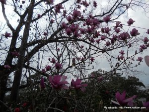 DSCN0031