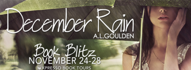 DecemberRainBlitzBanner