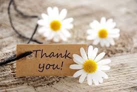 thank you daisy