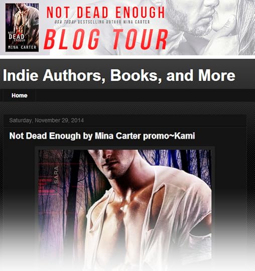 NDE_tour_Indiebooksandmore