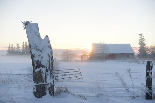 DSC_4105