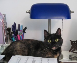 cat_with_lamp_shade