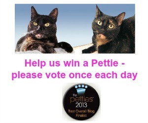 2013_Pettie_Best_Pet_Blog