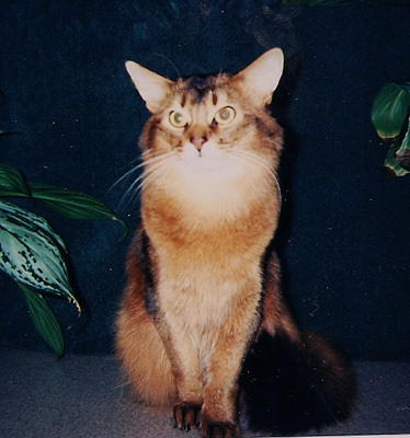 An old photo of my dad