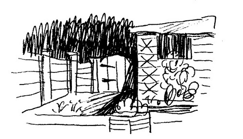 Shed