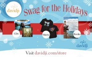 Order any Holiday Exclusive Package and receive a Set Your Course Guided Meditation Series!
