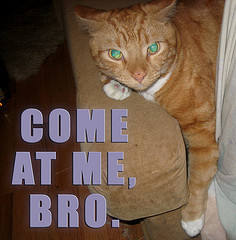 20110927 - IMG_3673-c - come at me, bro