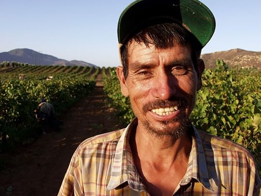 Grape worker