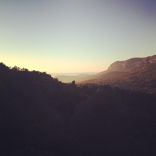 Daily miracle #life #universe