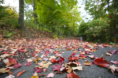 fall