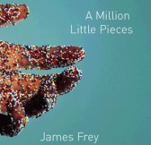 Book cover from A Million Little Pieces by James Frey.