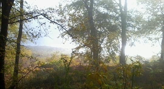 IMG_20141030_092059