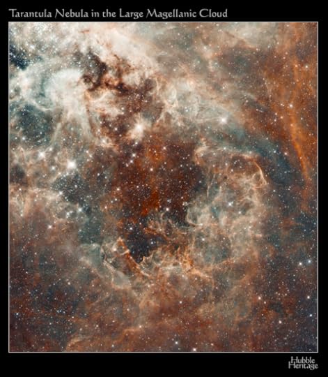 Taranula Nebula