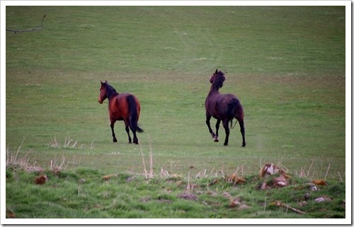 1 May 3 01-05-2013 15-08-20 3891x2436