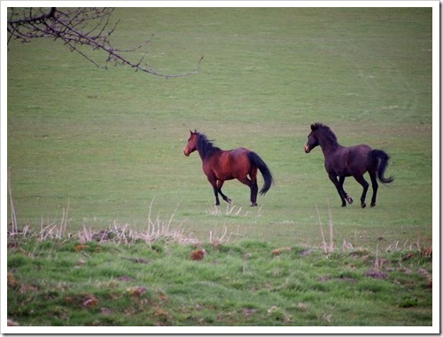 1 May 4 01-05-2013 15-08-21 4032x3024