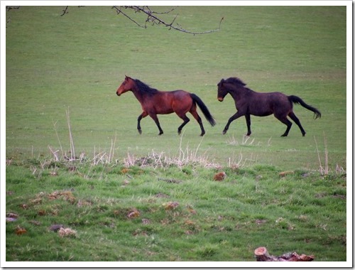 1 May 5 01-05-2013 15-08-22 4032x3024