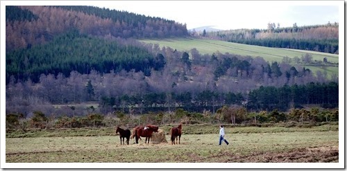 1 May 8 01-05-2013 09-29-09 3983x1885