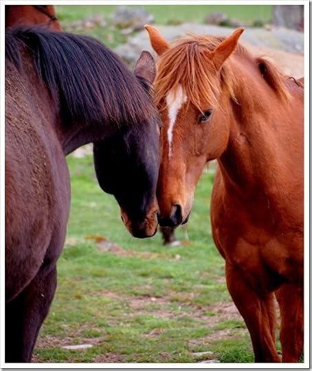 1 May H4 01-05-2013 15-03-059