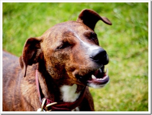 1 May 10 01-05-2013 12-26-28 4032x3024