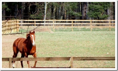 1 May 15 29-04-2013 08-24-46 1995x1163