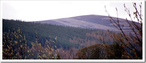 1 May 11 01-05-2013 12-26-51 4020x1653