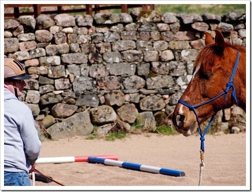 30 April 6 30-04-2013 10-33-26 4032x3024