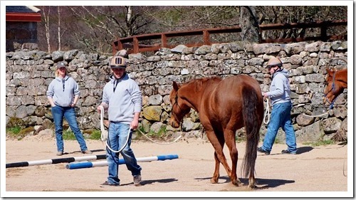 30 April 7 30-04-2013 10-59-37 4001x2173