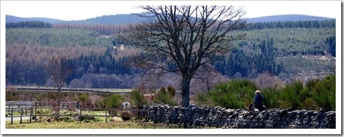 30 April 10 30-04-2013 10-57-14 4032x1503