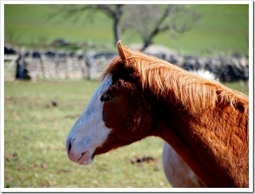 30 April 11 30-04-2013 10-59-04 4032x3024