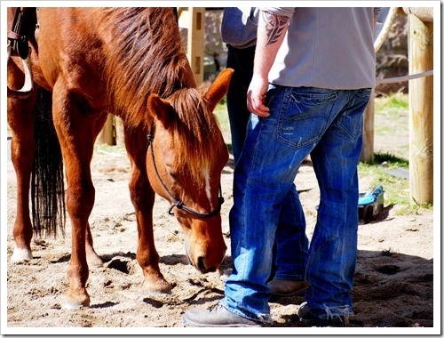 30 April 12 30-04-2013 11-33-35 4032x3024