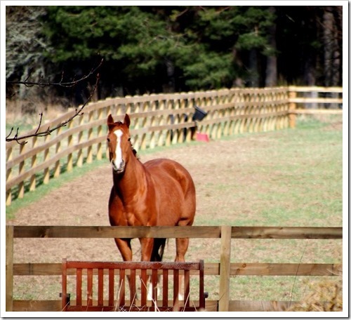 29 April 1 2790x2534