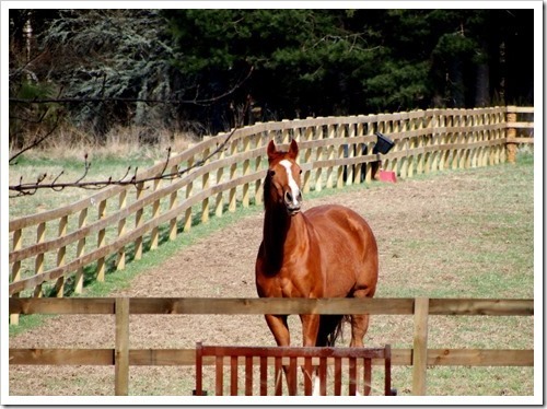 29 April 2 3155x2328