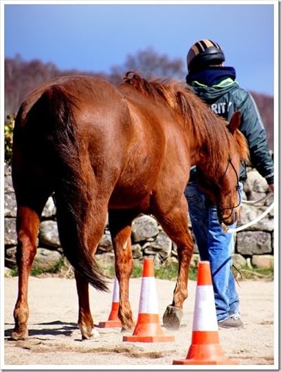 29 April 4 3024x4032