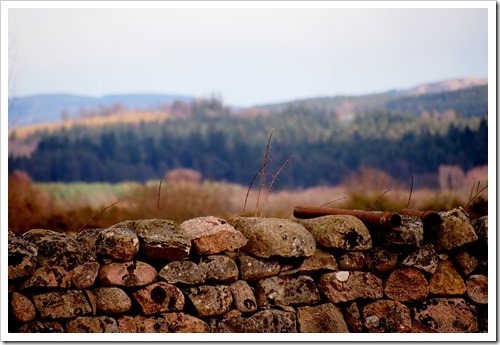 29 April 11 4026x2724