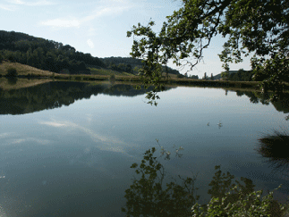 Fishing in France